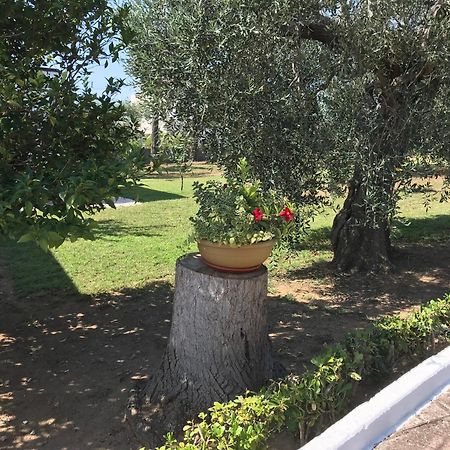 Villa Il Carrubo - Basilicata Pisticci Buitenkant foto