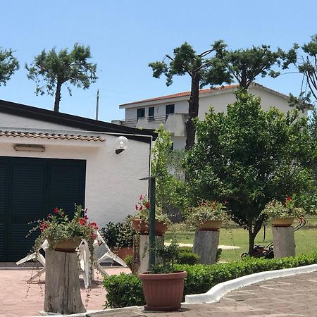 Villa Il Carrubo - Basilicata Pisticci Buitenkant foto