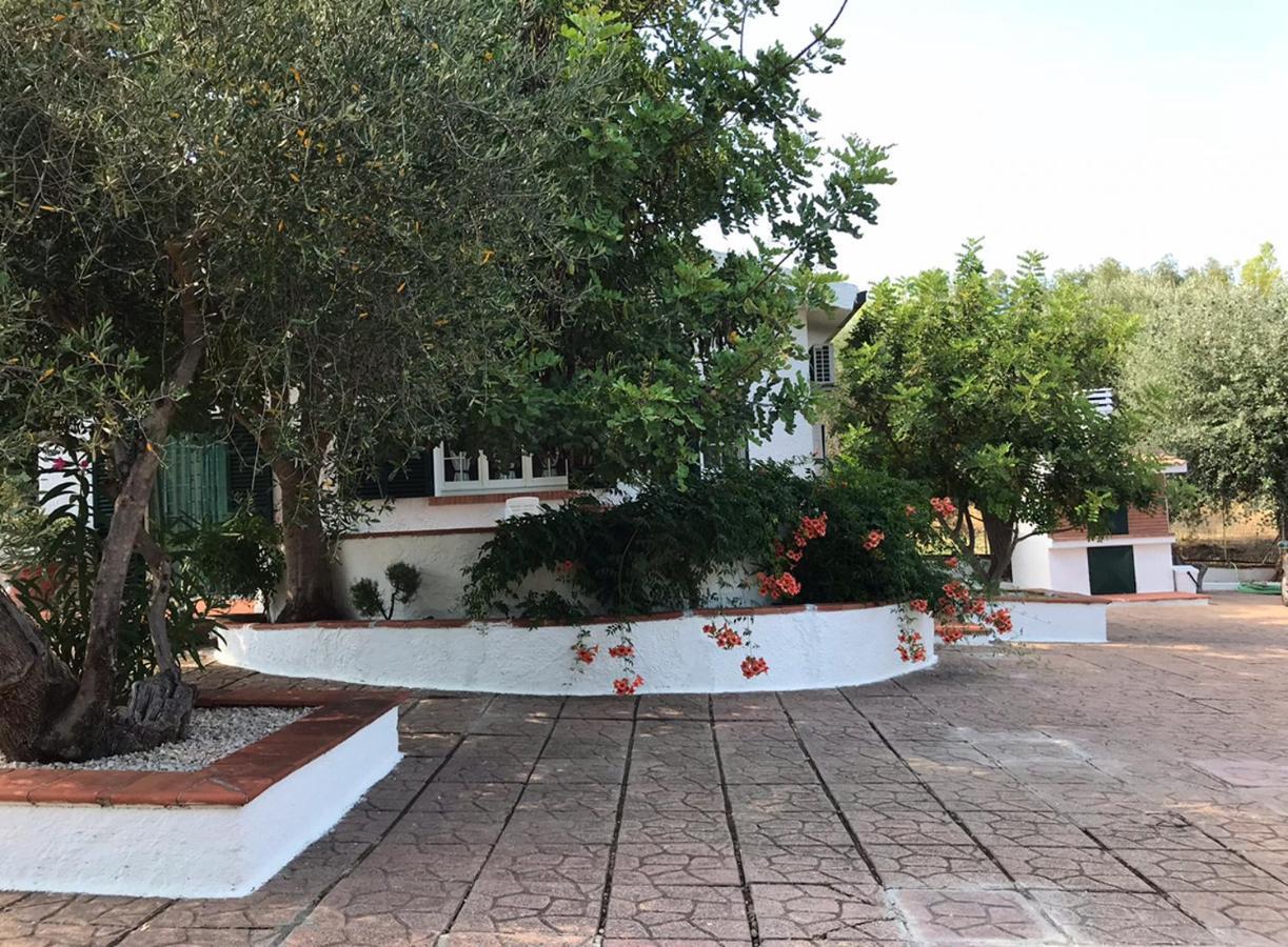 Villa Il Carrubo - Basilicata Pisticci Buitenkant foto