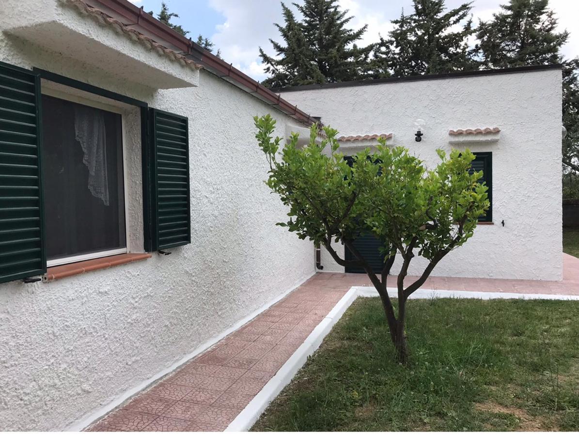 Villa Il Carrubo - Basilicata Pisticci Buitenkant foto