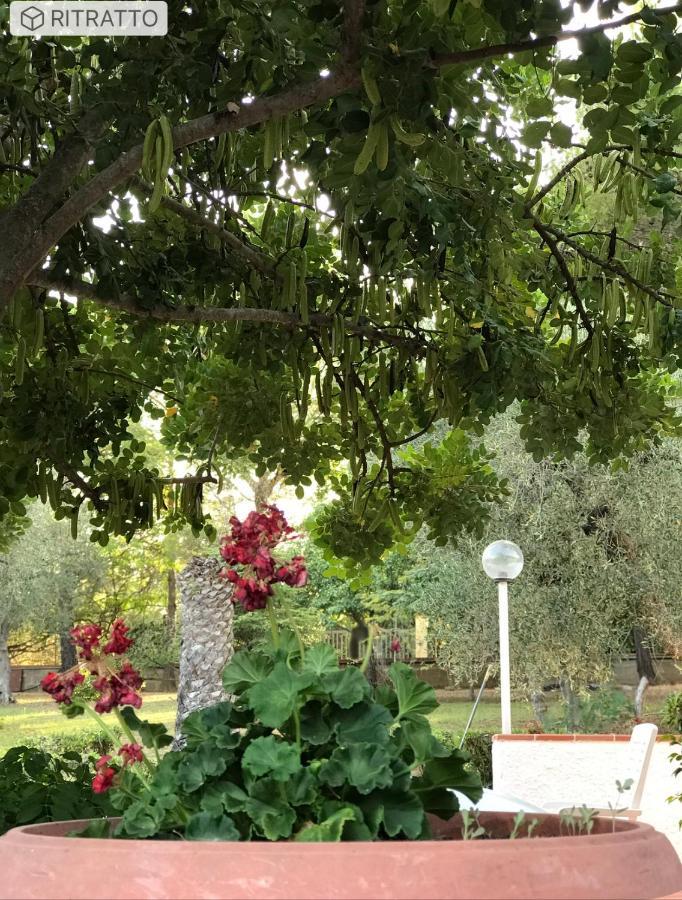 Villa Il Carrubo - Basilicata Pisticci Buitenkant foto