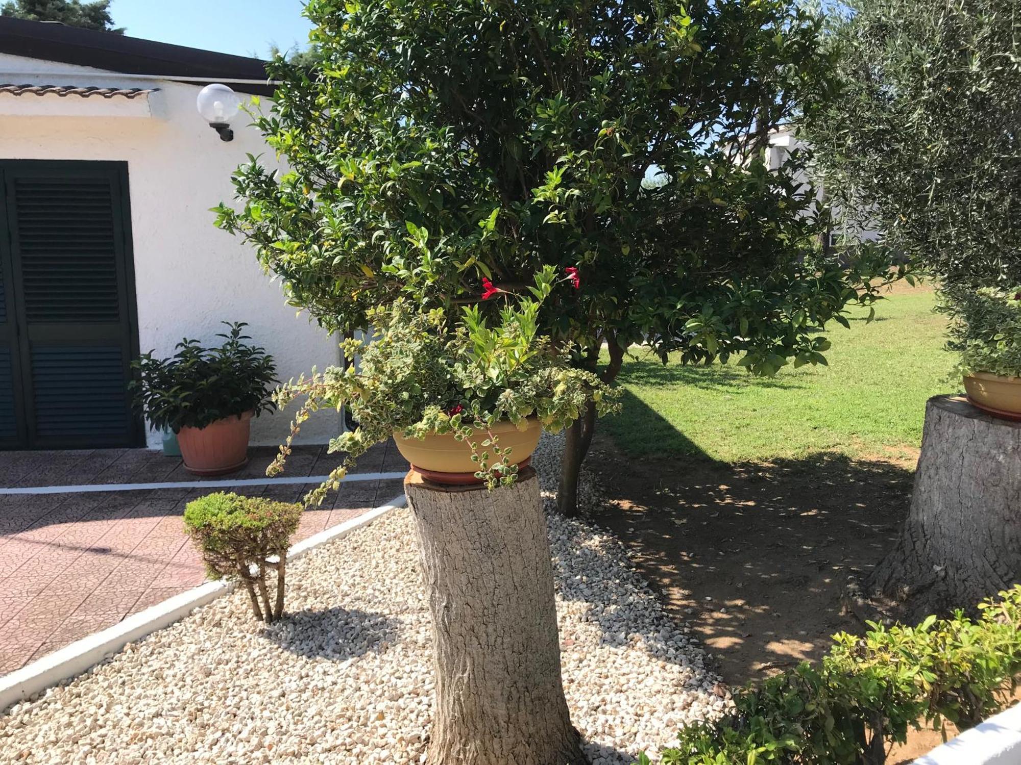 Villa Il Carrubo - Basilicata Pisticci Buitenkant foto