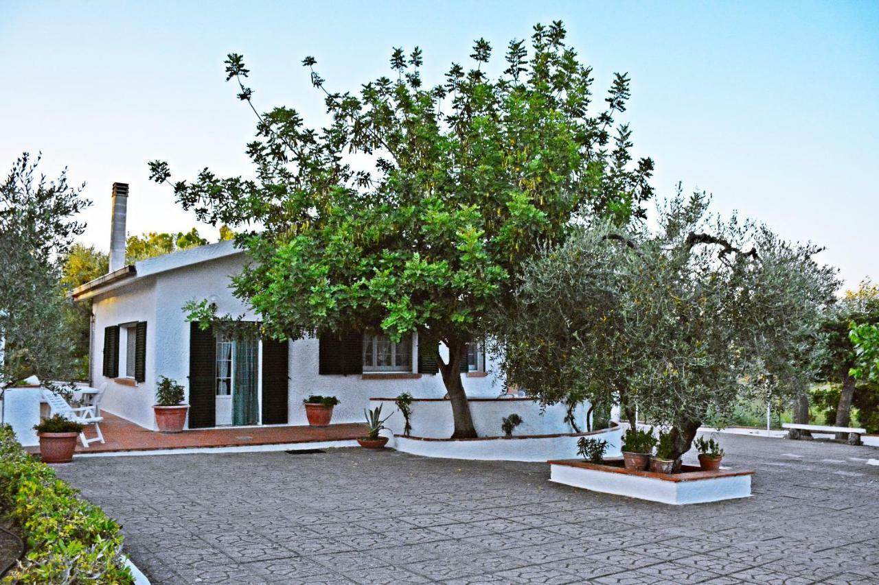 Villa Il Carrubo - Basilicata Pisticci Buitenkant foto