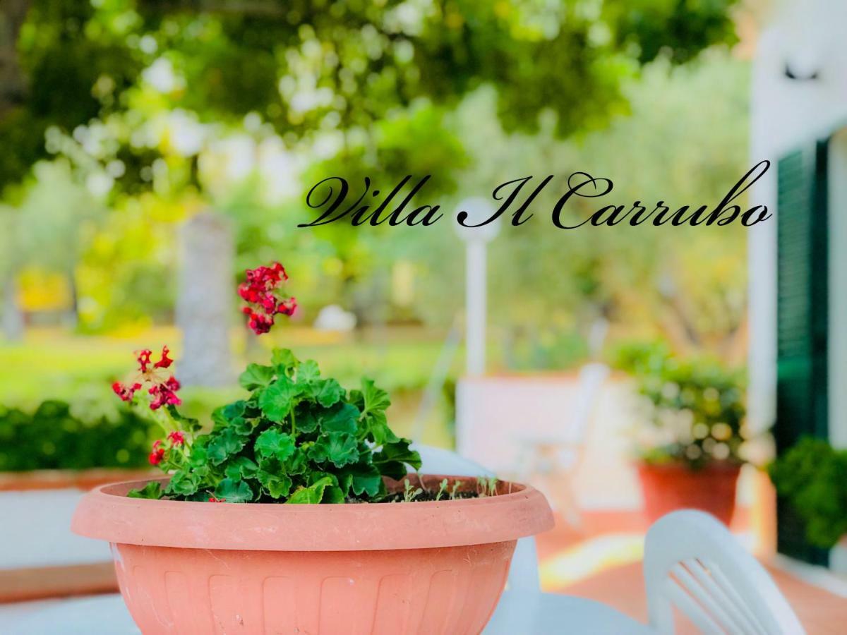 Villa Il Carrubo - Basilicata Pisticci Buitenkant foto