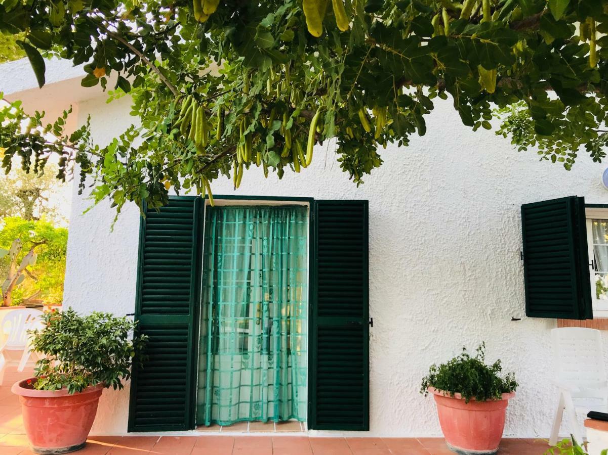 Villa Il Carrubo - Basilicata Pisticci Buitenkant foto